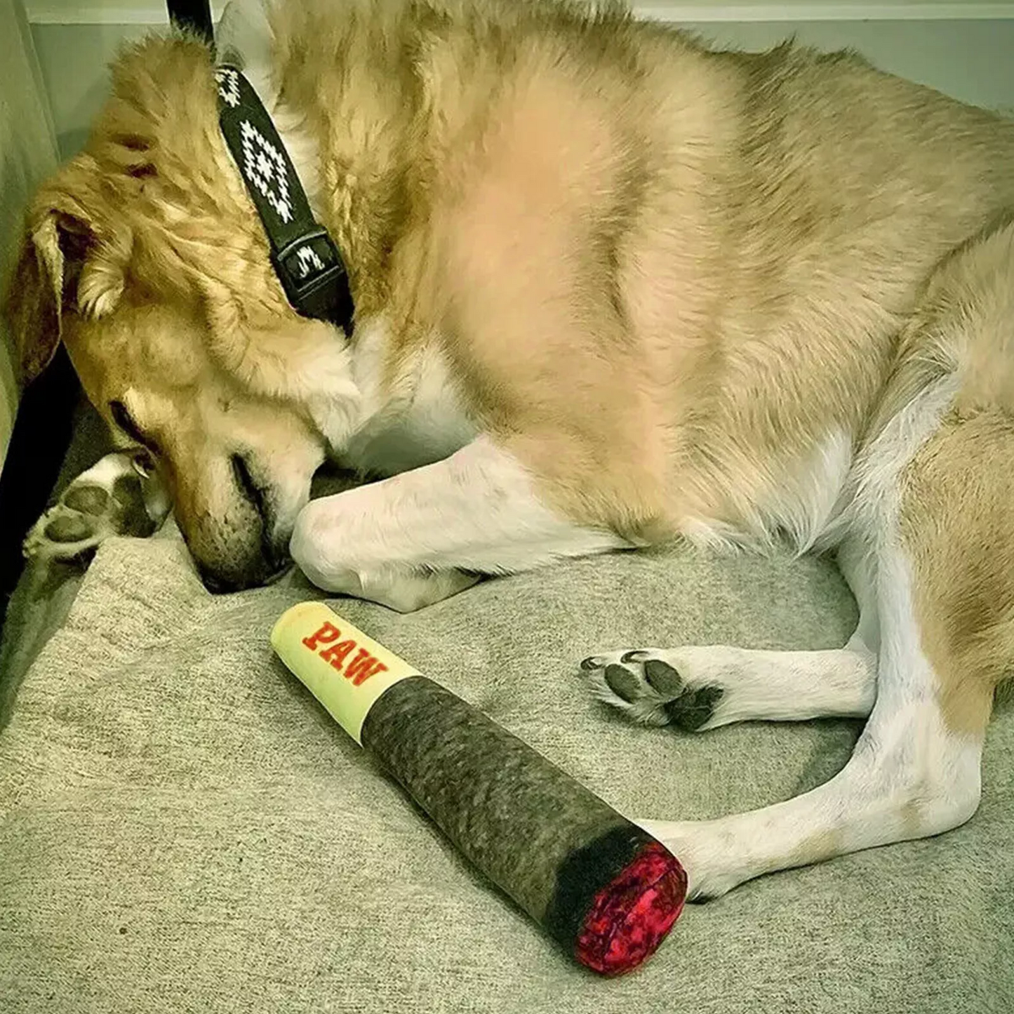 Joint Dog Toy