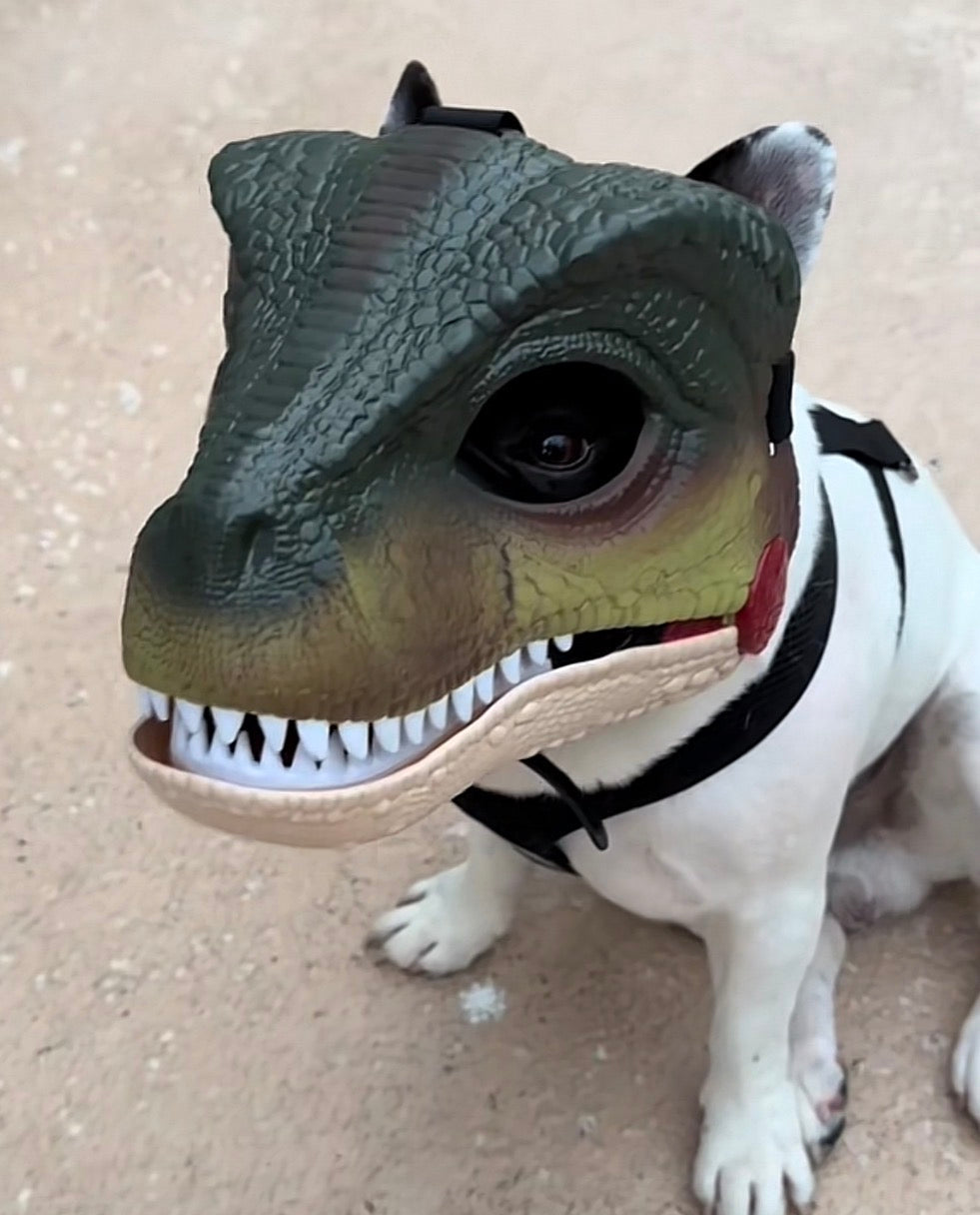 Dinosaur Mask