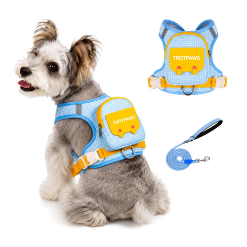 Cute dog backpack