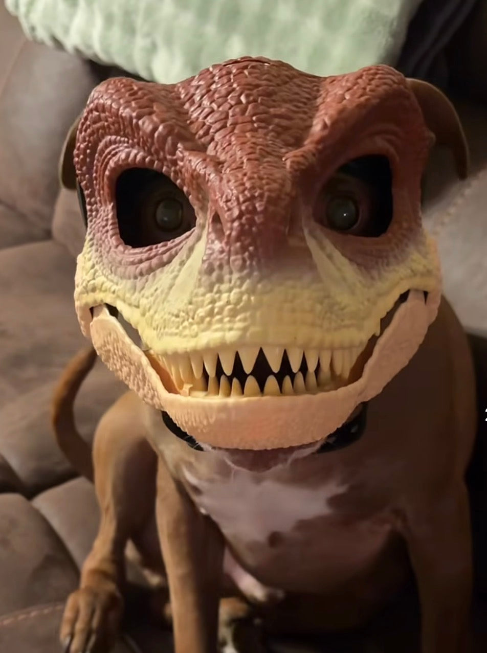 Dinosaur Mask