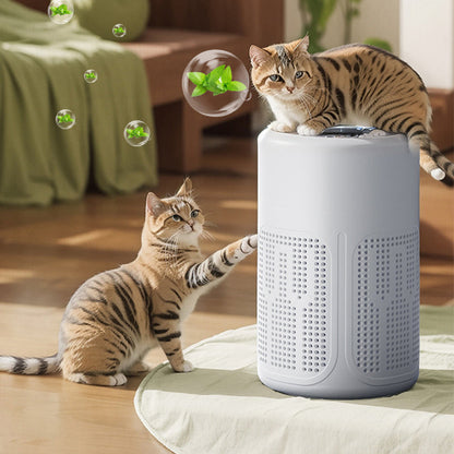 ⚡️50% OFF! Silent Air Purifier