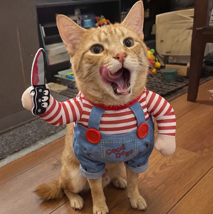 Funny Pet Dog/Cat Costume