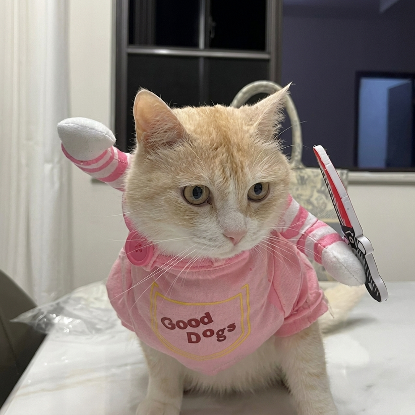 Funny Pet Dog/Cat Costume