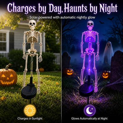 💀 Last Day 50% OFF – Solar Skull Garden Lights