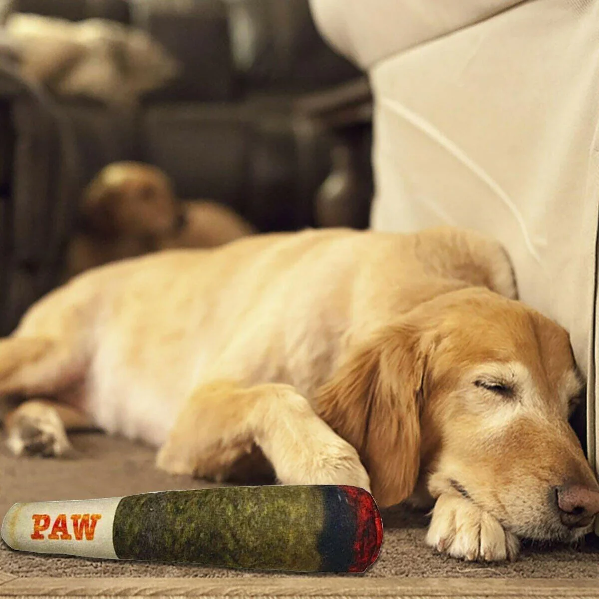 Joint Dog Toy