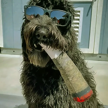 Joint Dog Toy