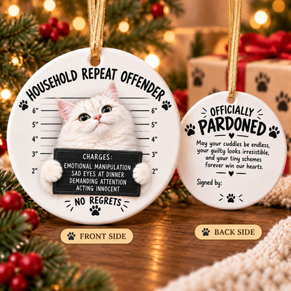 😼🎄Cat Mugshot Ornament Collection – Funny Ceramic Christmas Tree Decor🐾