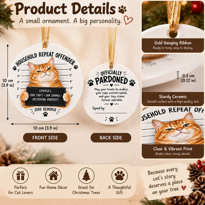 😼🎄Cat Mugshot Ornament Collection – Funny Ceramic Christmas Tree Decor🐾