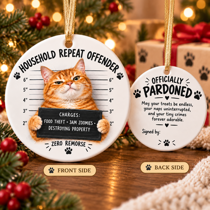 😼🎄Cat Mugshot Ornament Collection – Funny Ceramic Christmas Tree Decor🐾