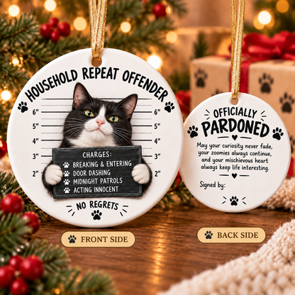 😼🎄Cat Mugshot Ornament Collection – Funny Ceramic Christmas Tree Decor🐾